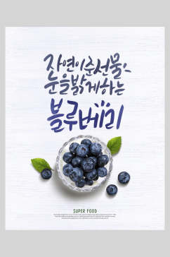 清新蓝莓美食海报