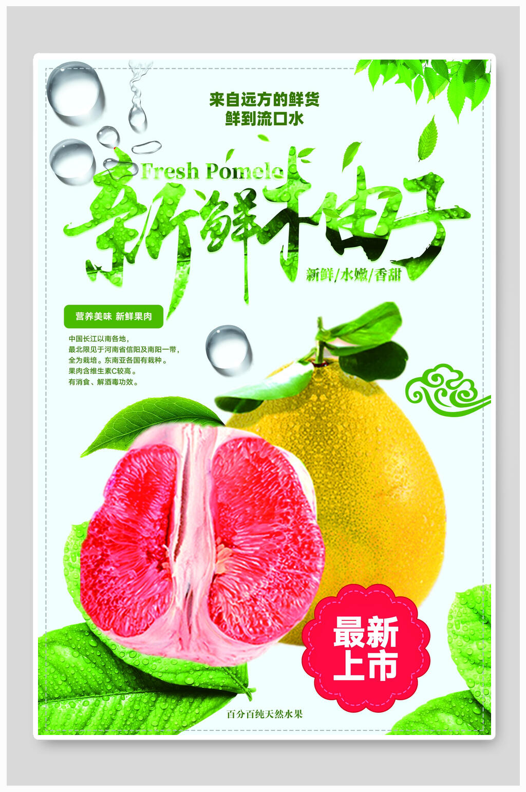新鲜柚子水果食物宣传海报素材