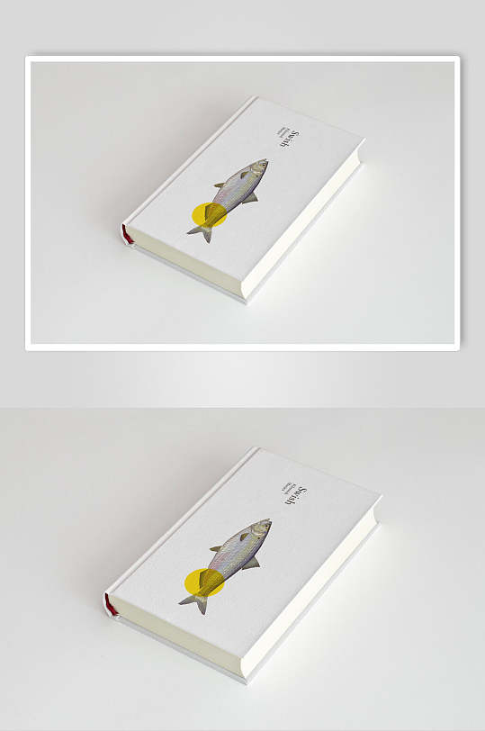 鱼书品牌vi样机