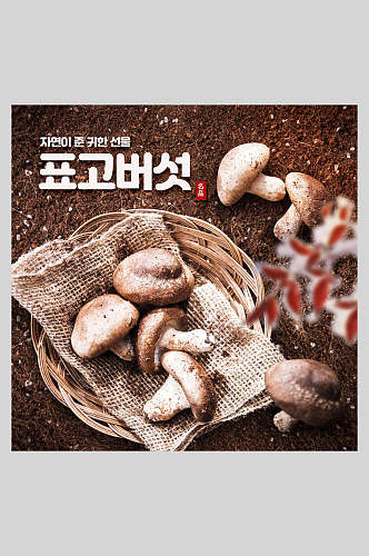 菌子香菇美食排版海报