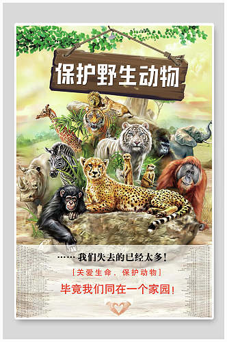 卡通创意保护野生动物海报