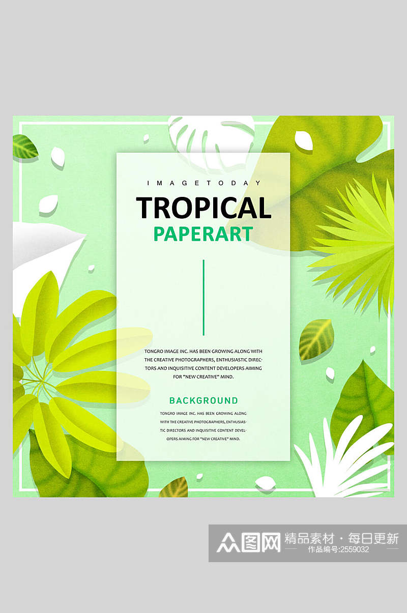 淡雅热带植物背景海报素材