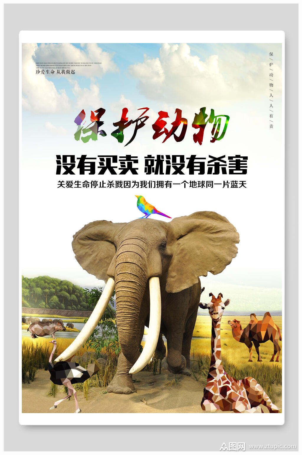 时尚唯美时尚保护动物海报素材