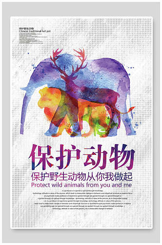 炫彩保护动物海报