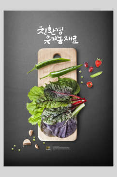 韩式生态蔬菜韩国美食海报