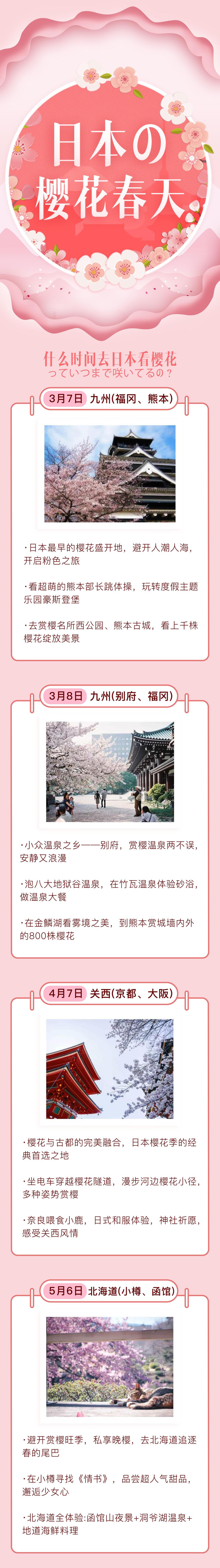 粉色日本樱花春天旅游信息H5长图素材