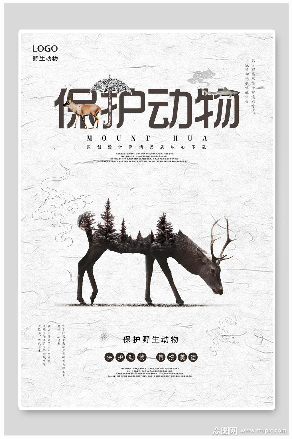 简约创意保护动物海报