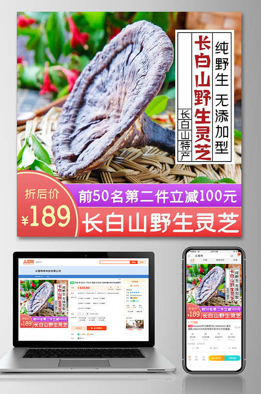 野生灵芝食品电商主图