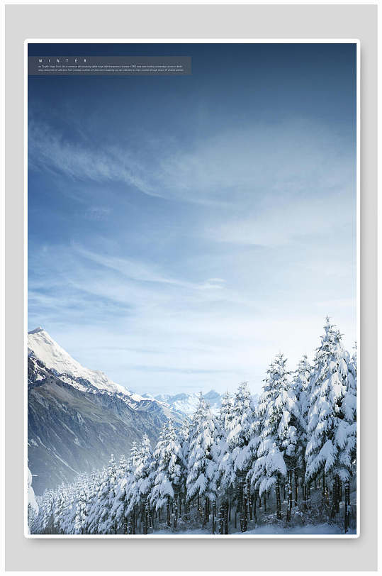 雾凇冬季雪景海报背景素材