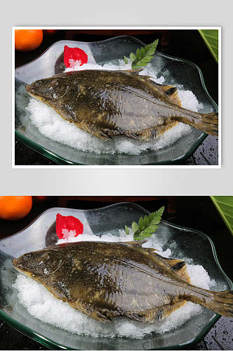 左口鱼食品摄影图片