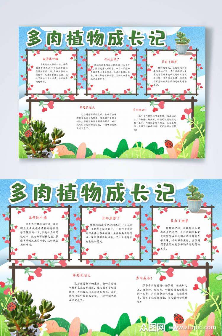 唯美多肉植物生长观察横版小报word