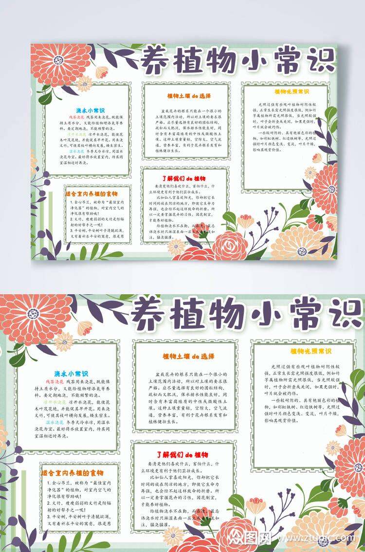 养植物小常识生长观察横版小报word