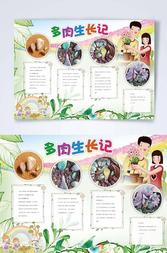 多肉植物生长观察横版小报word