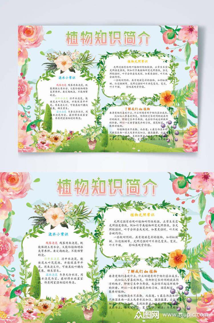 清新唯美植物生长观察横版小报word