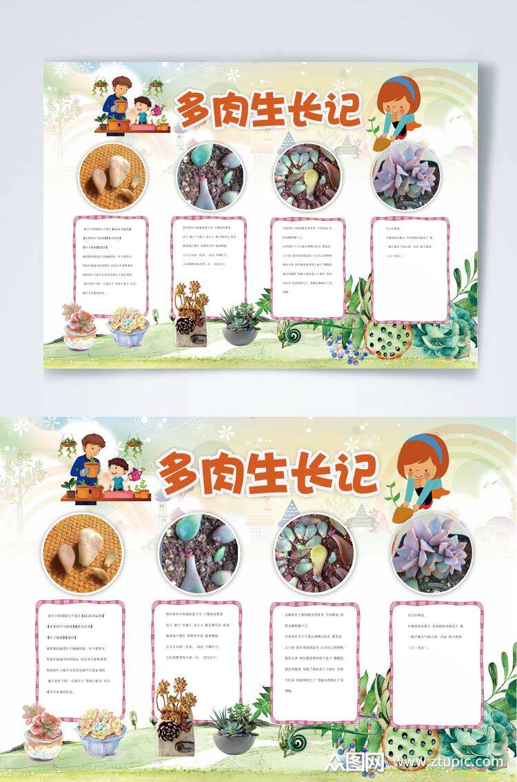 炫彩多肉植物生长观察横版小报word