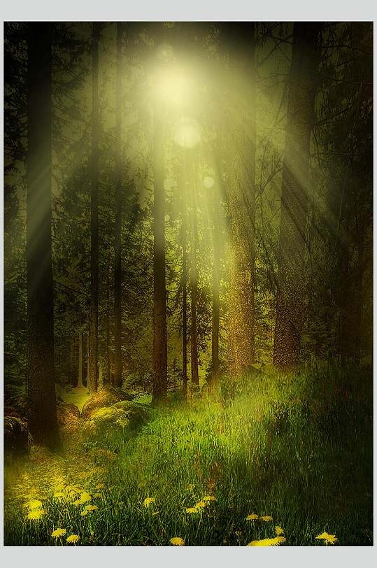 创意动漫唯美迷幻森林图片