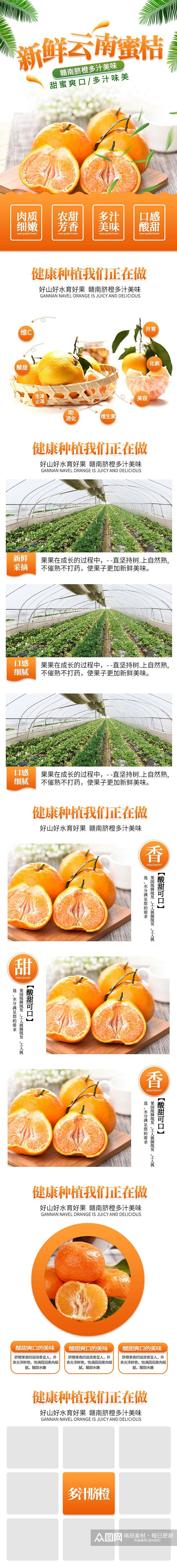 新鲜云南蜜桔美食电商详情页素材