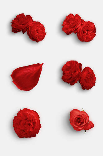 唯美红色鲜花蝴蝶玫瑰花免抠元素