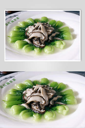 香菇菜心餐饮食品图片