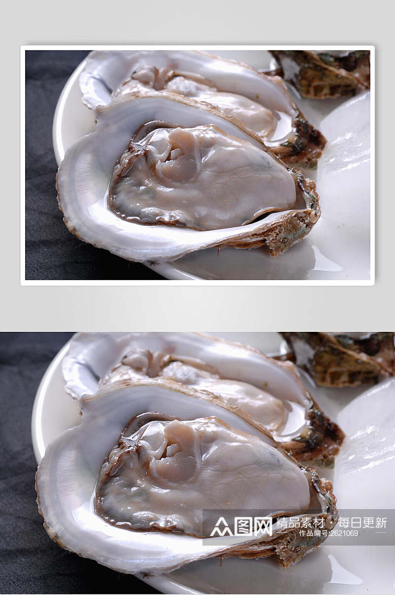 海鲜生蚝食物摄影图片素材
