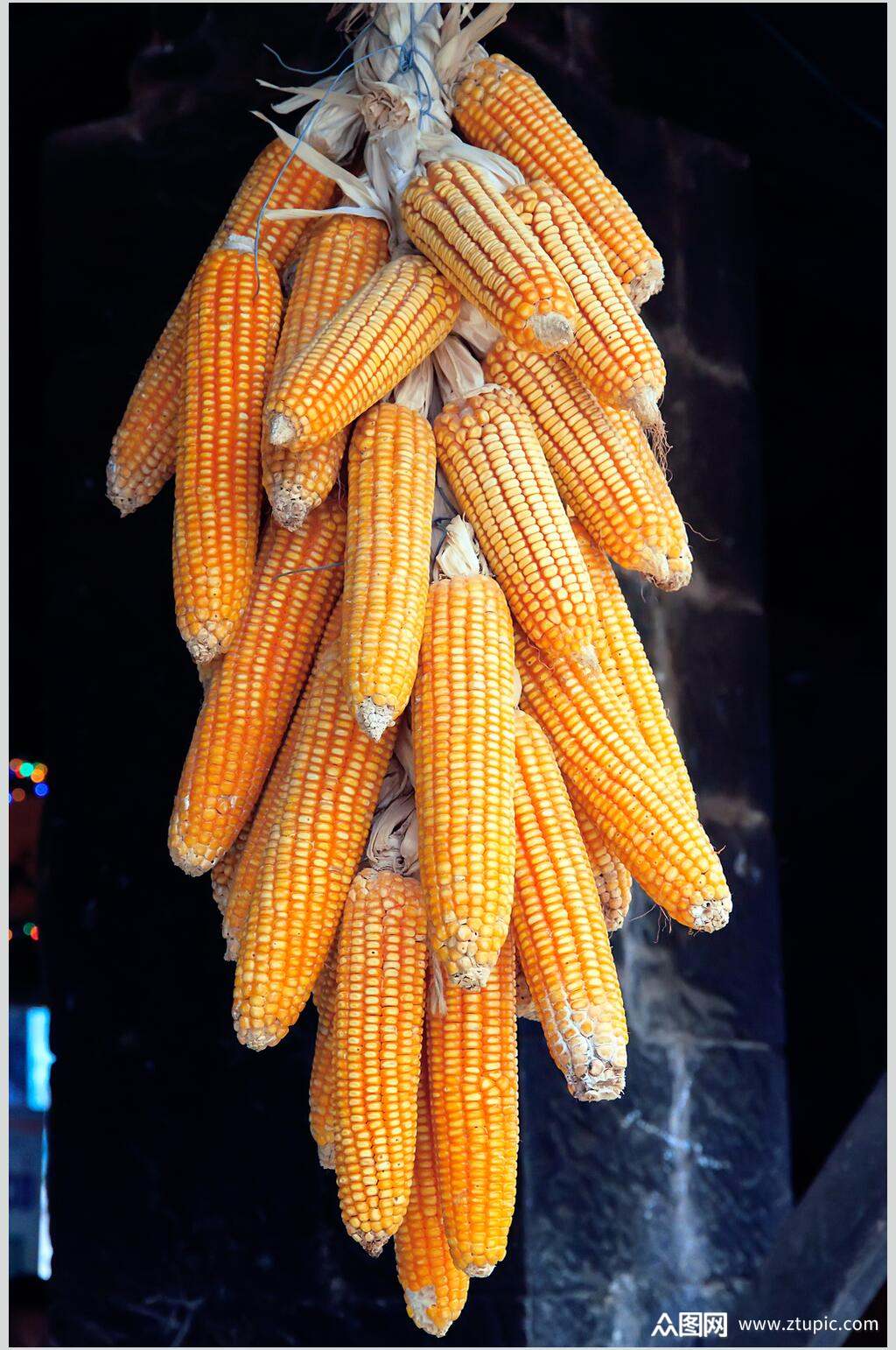 农家食物玉米图片素材