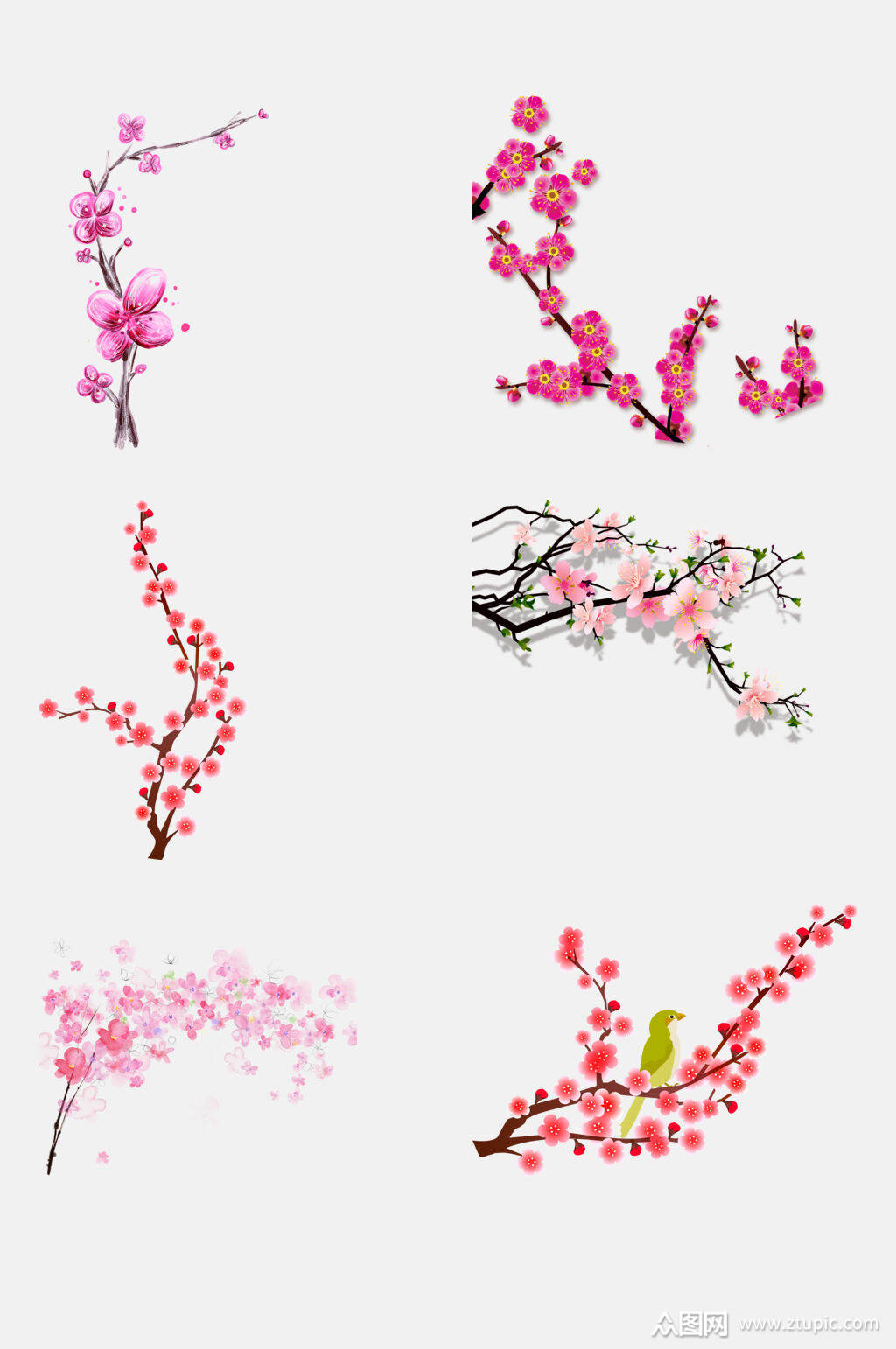 清新粉色鲜花梅花季节免抠素材