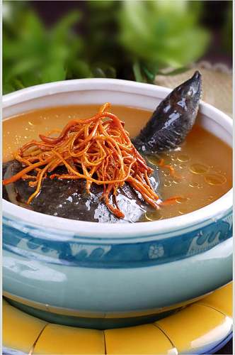 海河鲜虫草花炖甲鱼餐饮高清图片