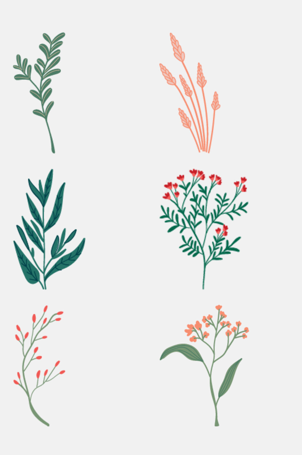 简洁清新花草植物插画免抠素材模板下载