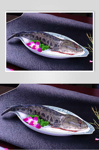 活海鲜乌鱼餐饮摄影图片