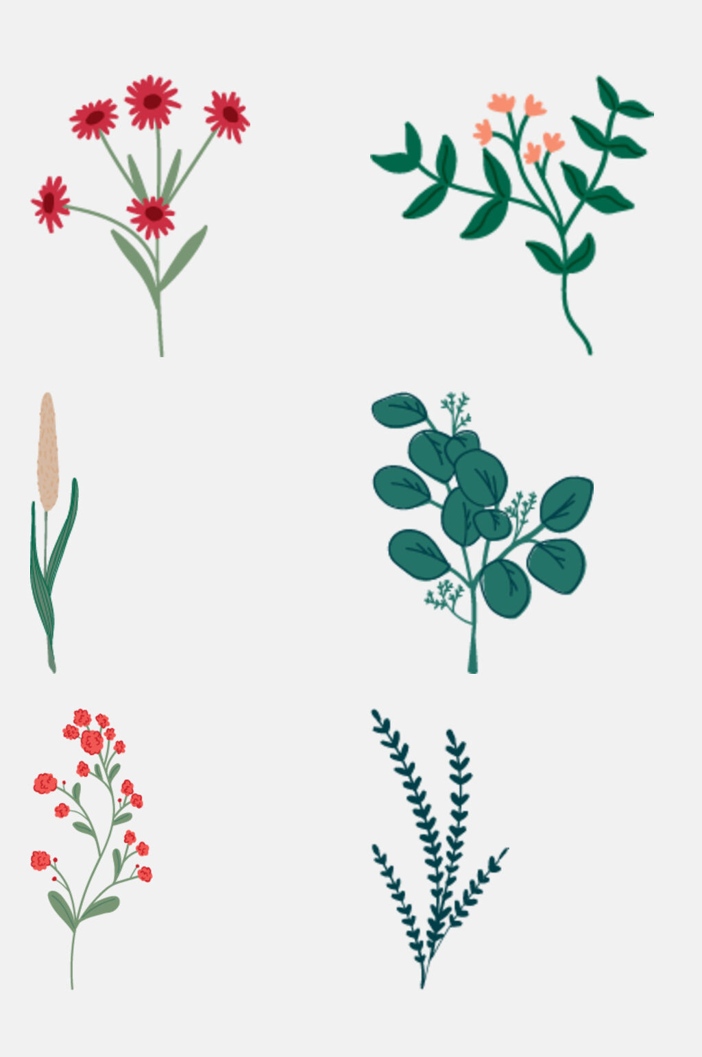 淡雅清新植物插画免抠设计素材