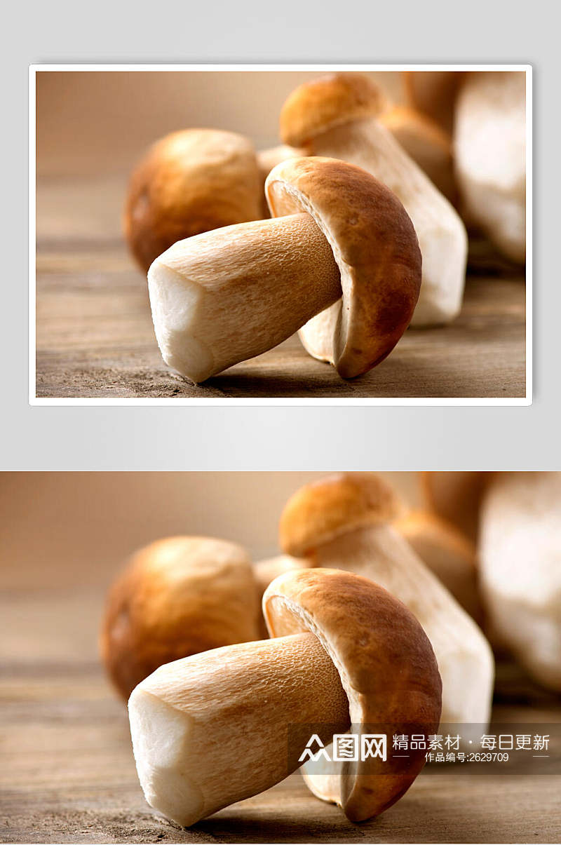 野生蘑菇香菇餐饮食物图片素材