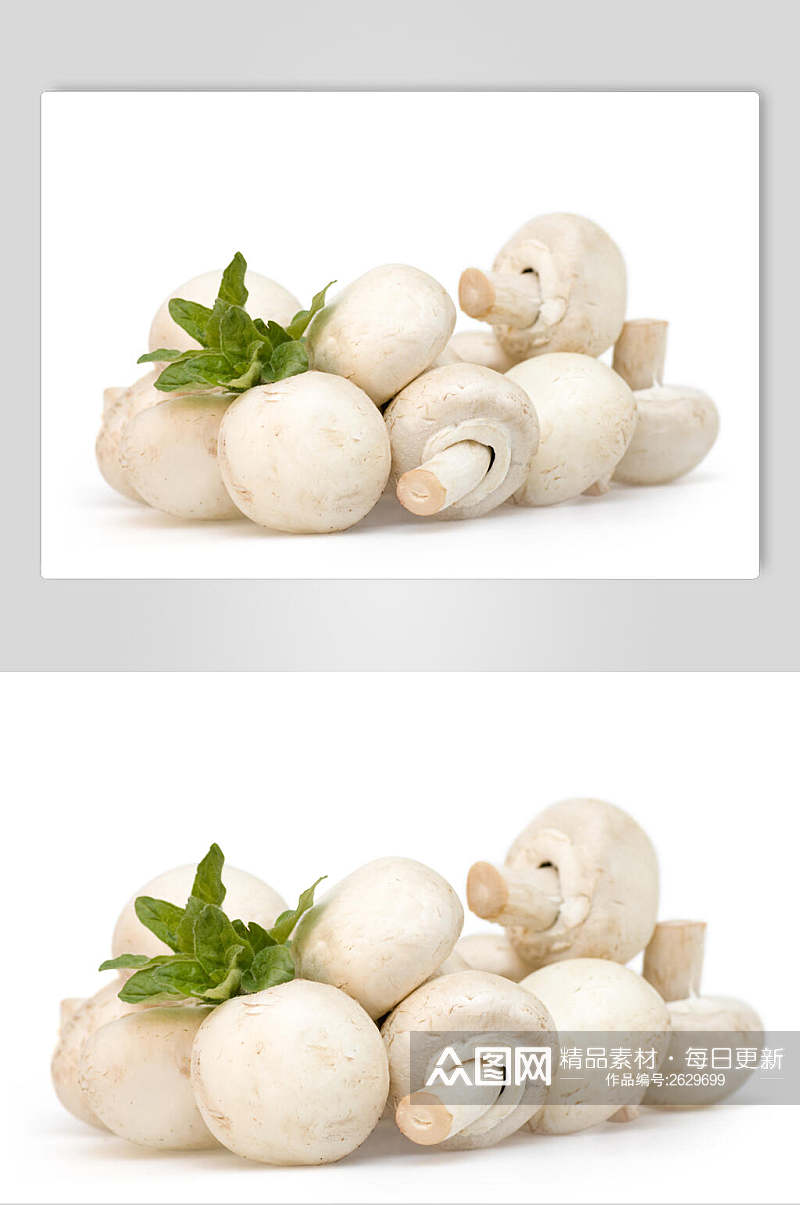特色蘑菇香菇餐饮食物图片素材