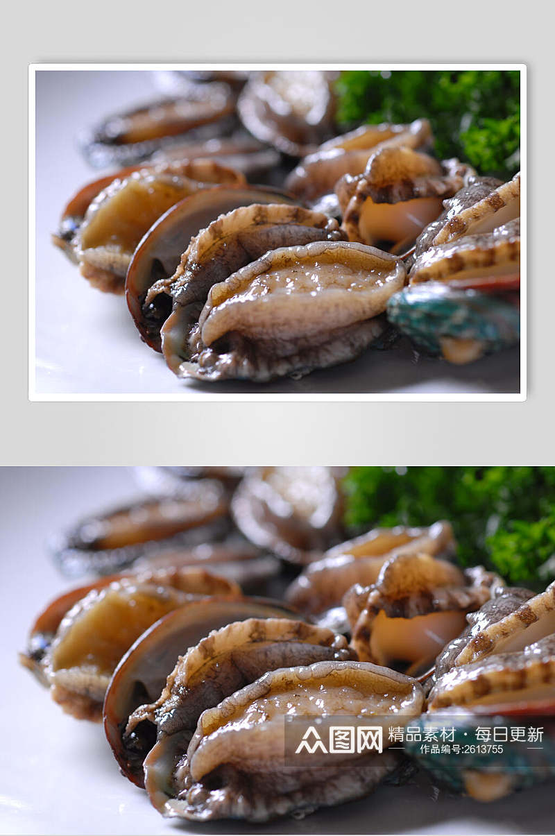 新鲜鲜鲍鱼餐饮摄影图片素材