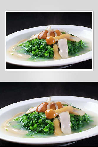 热滑菌钵钵菜食物高清图片