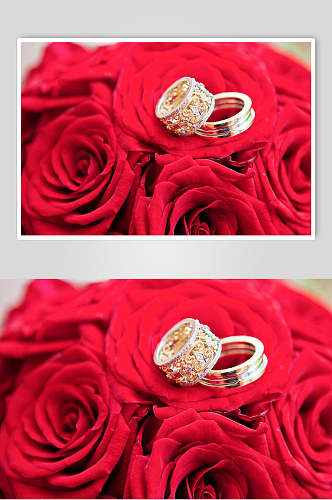 红色玫瑰红婚戒对戒高清图片