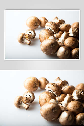 新鲜美味蘑菇香菇图片