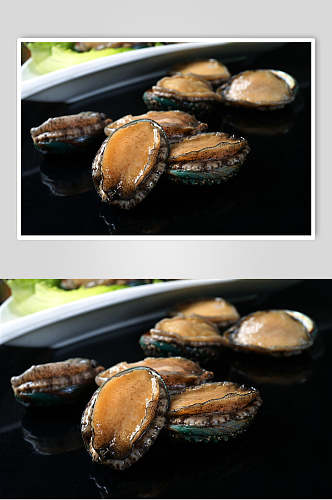 生猛海鲜鲍鱼仔餐饮摄影图片