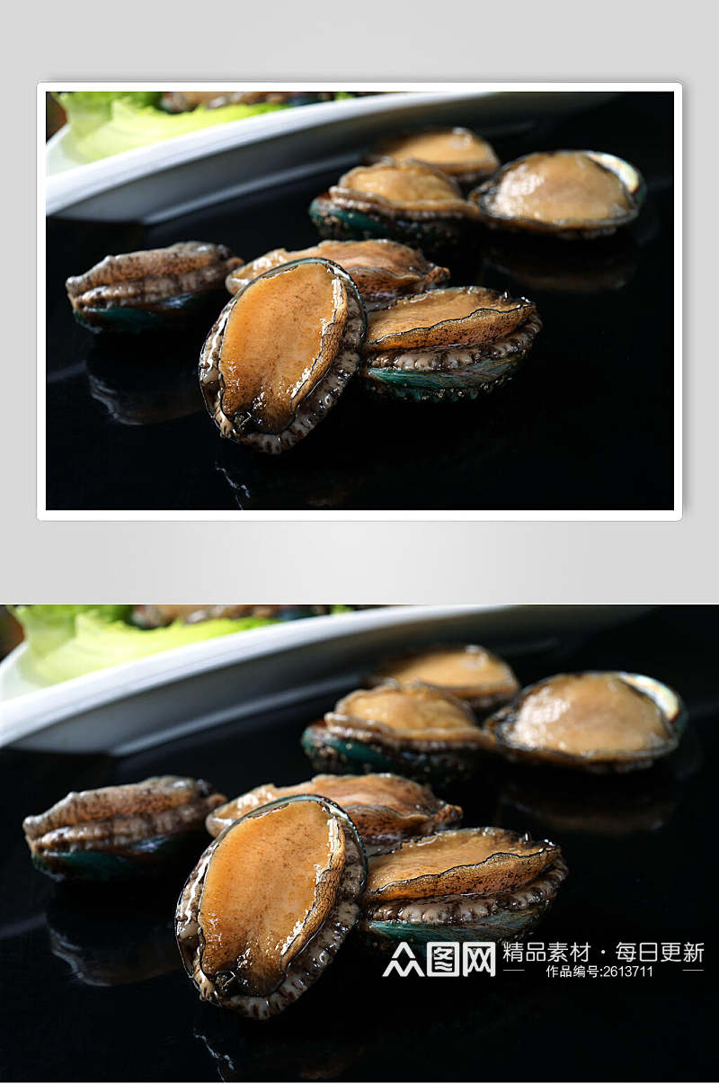 生猛海鲜鲍鱼仔餐饮摄影图片素材