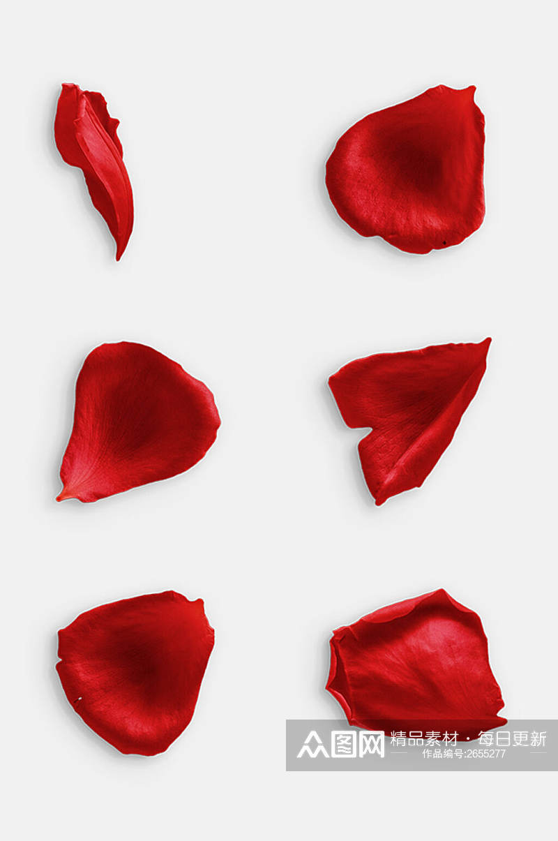 简洁红色花瓣玫瑰花免抠元素素材