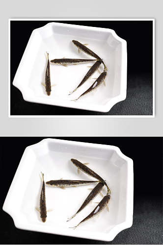 河鲜土凤食物摄影图片