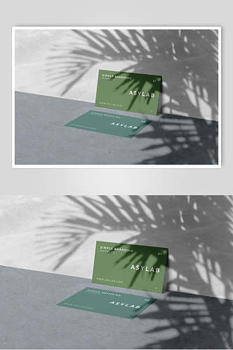 小清新高端植物影子卡片名片样机