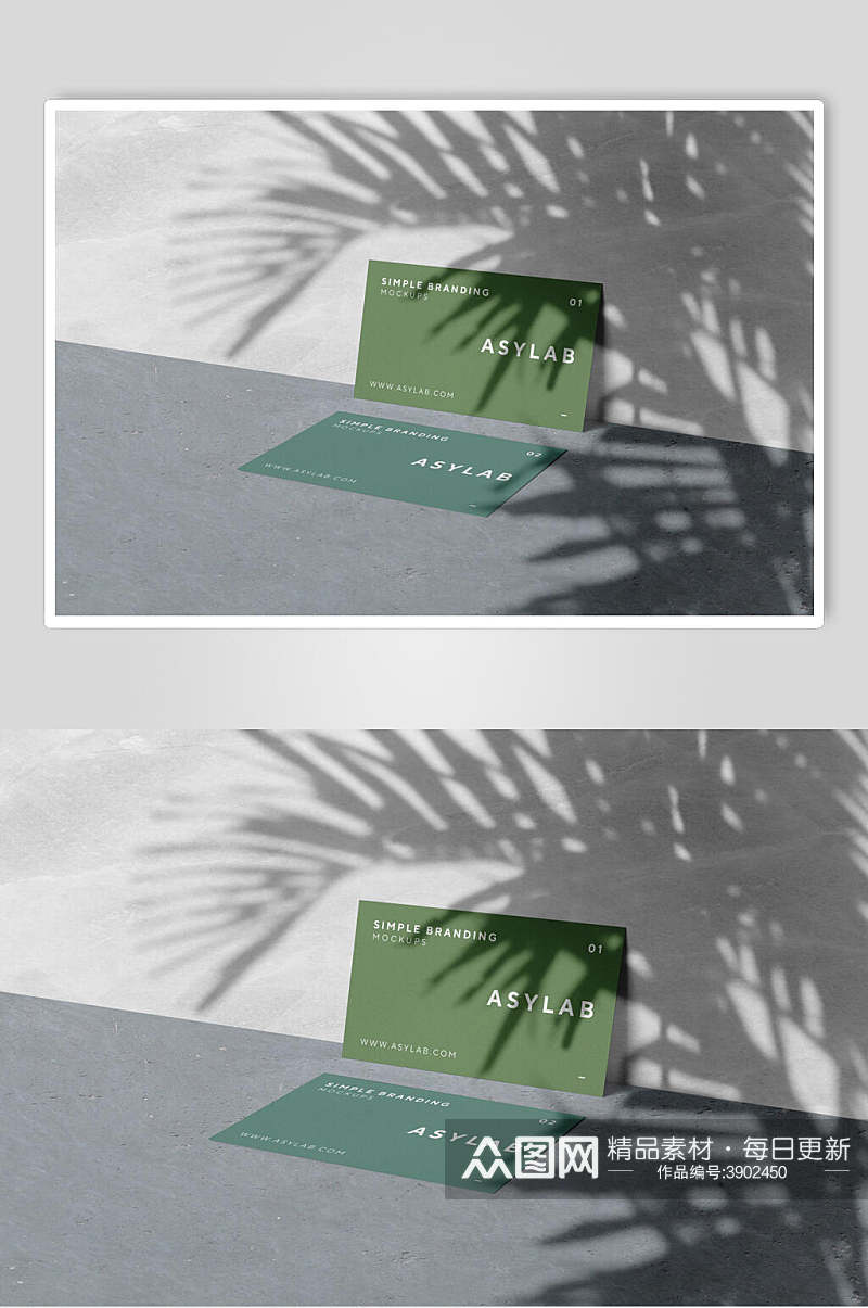 小清新高端植物影子卡片名片样机素材