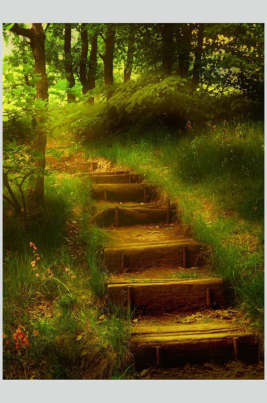 梦幻仙境迷幻森林图片