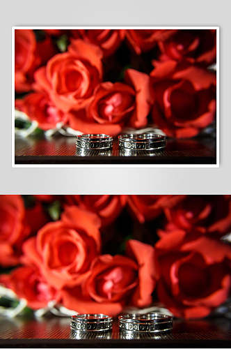 浪漫玫瑰红婚戒对戒图片