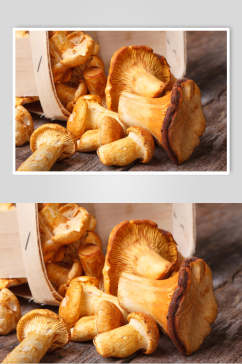 美食野生蘑菇香菇餐饮食物图片