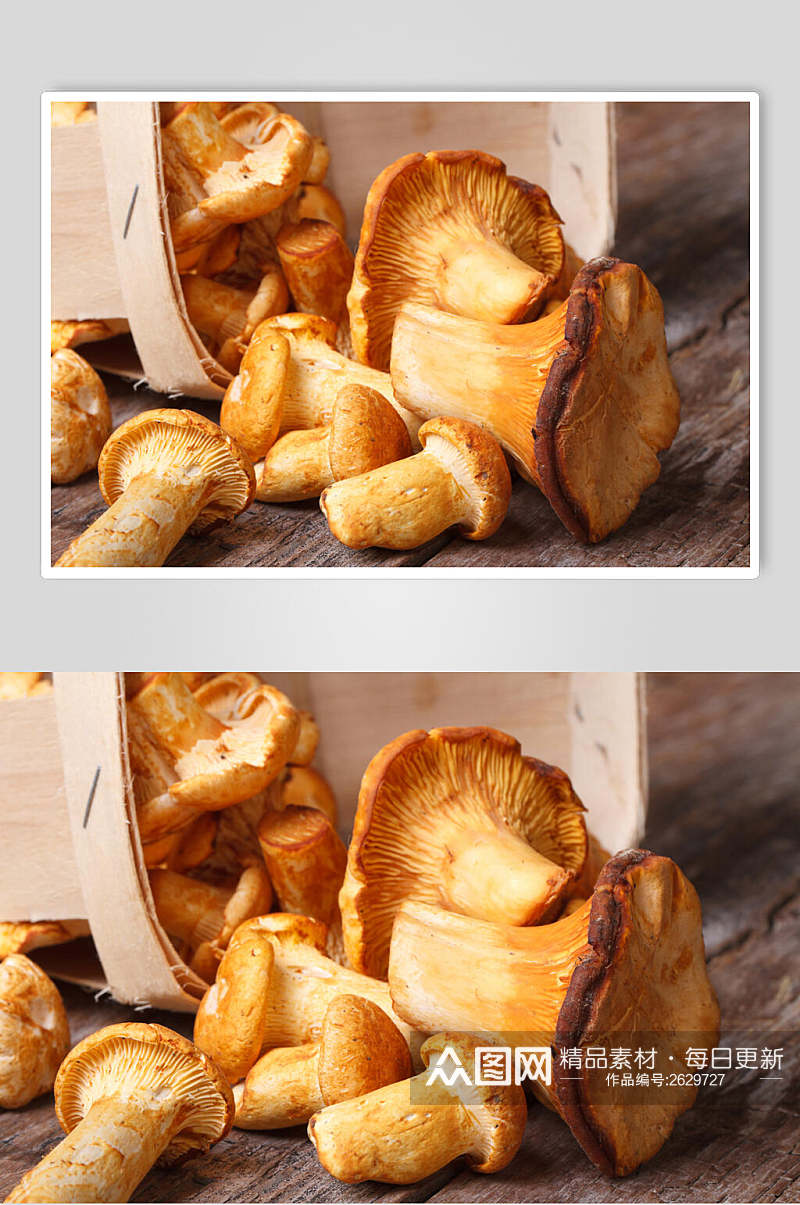 美食野生蘑菇香菇餐饮食物图片素材