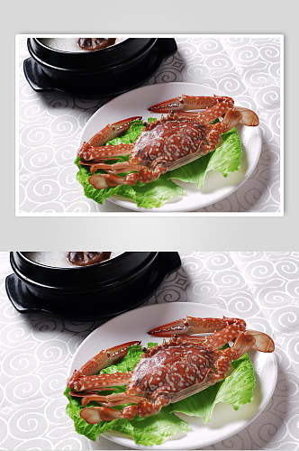 海鲜兰花蟹餐饮摄影图片
