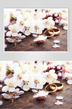 白色花卉婚戒对戒图片 花卉摄影图