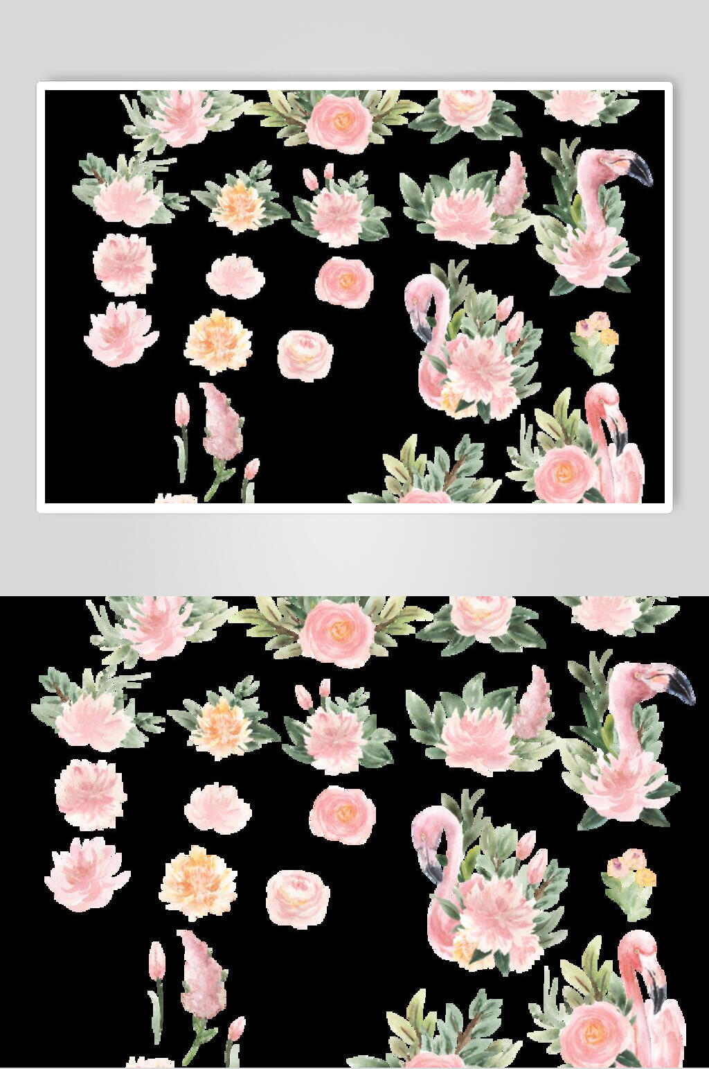 水彩花卉火烈鸟矢量素材素材