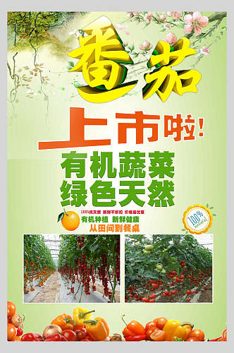 有机蔬菜西红柿番茄海报